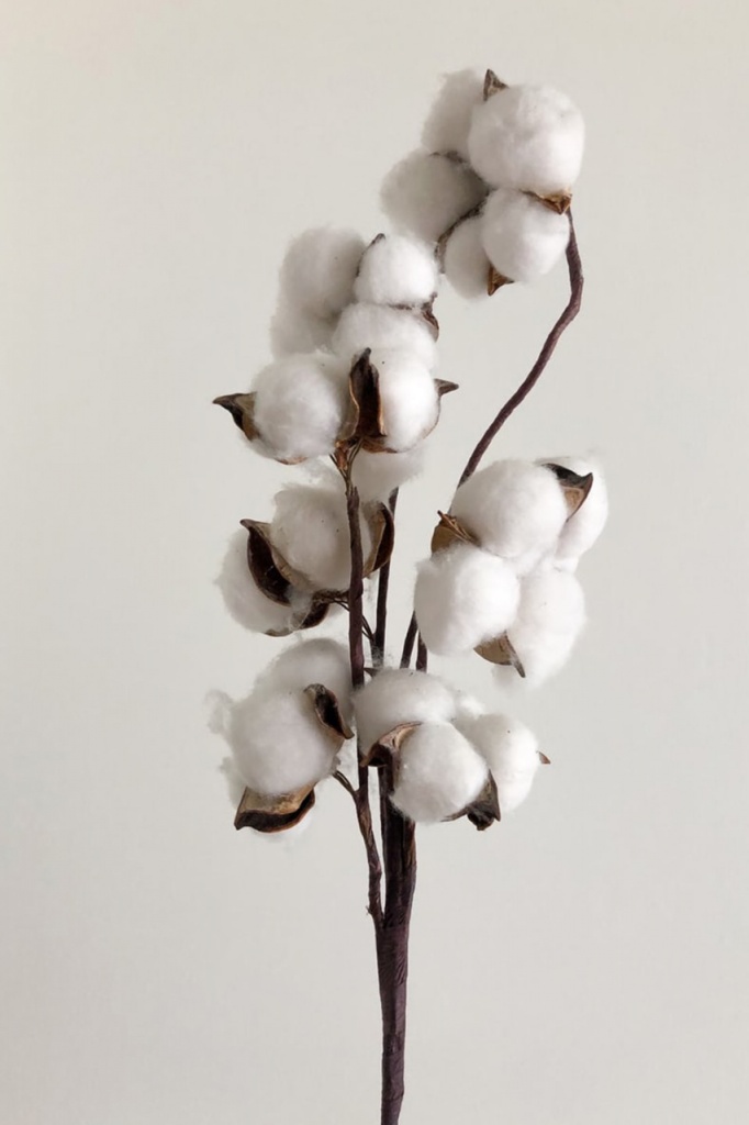 2021-11-25_LC-Nachhaltigkeitsreport-Hochformat-Baumwolle_1280x1280.jpg 2021-11-25_LC-Nachhaltigkeitsreport-Hochformat-Baumwolle_1280x1280.jpg