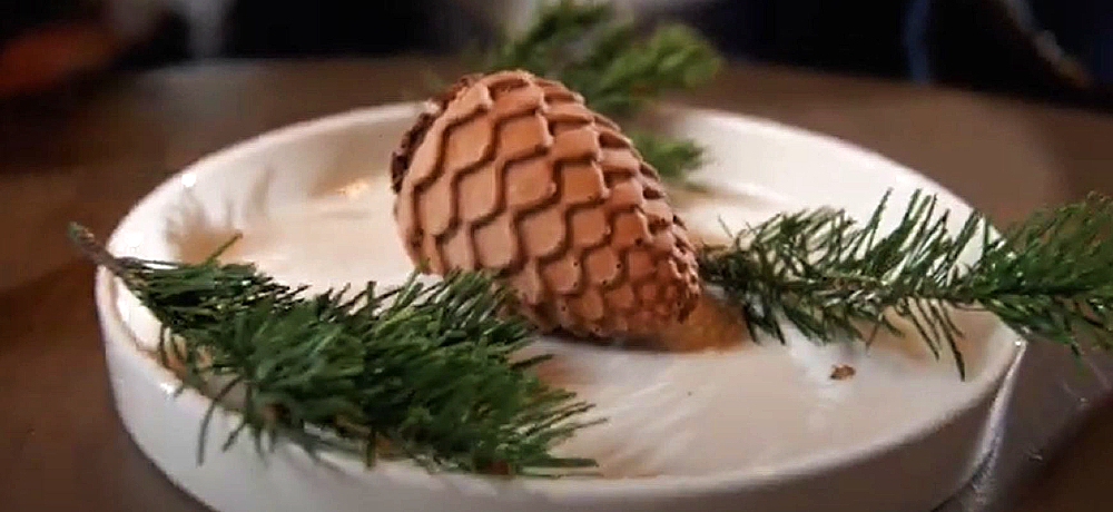 shishka-eda.jpg shishka-eda.jpg